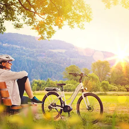 Premium-ferienhaus - - #36 *